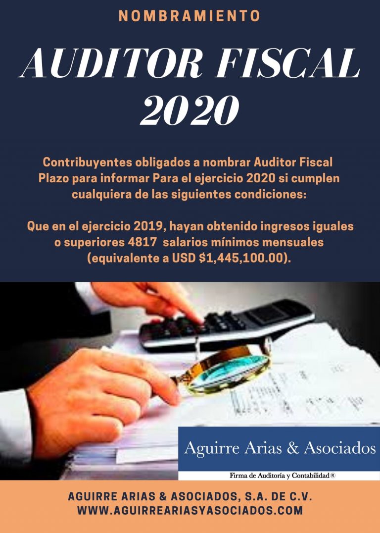 Auditor Fiscal Nombramiento Aguirre Arias And Asociados S A