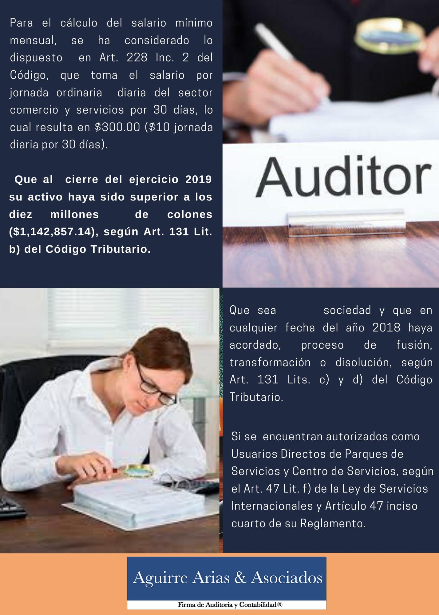 Auditor Fiscal Nombramiento Aguirre Arias And Asociados S A